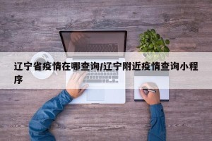 辽宁省疫情在哪查询/辽宁附近疫情查询小程序